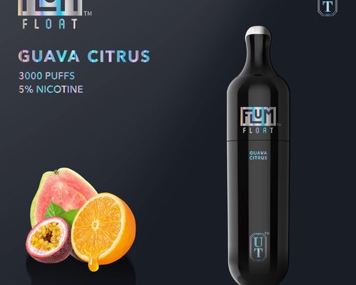 Flum Float Guava Citrus Disposable Vape Review