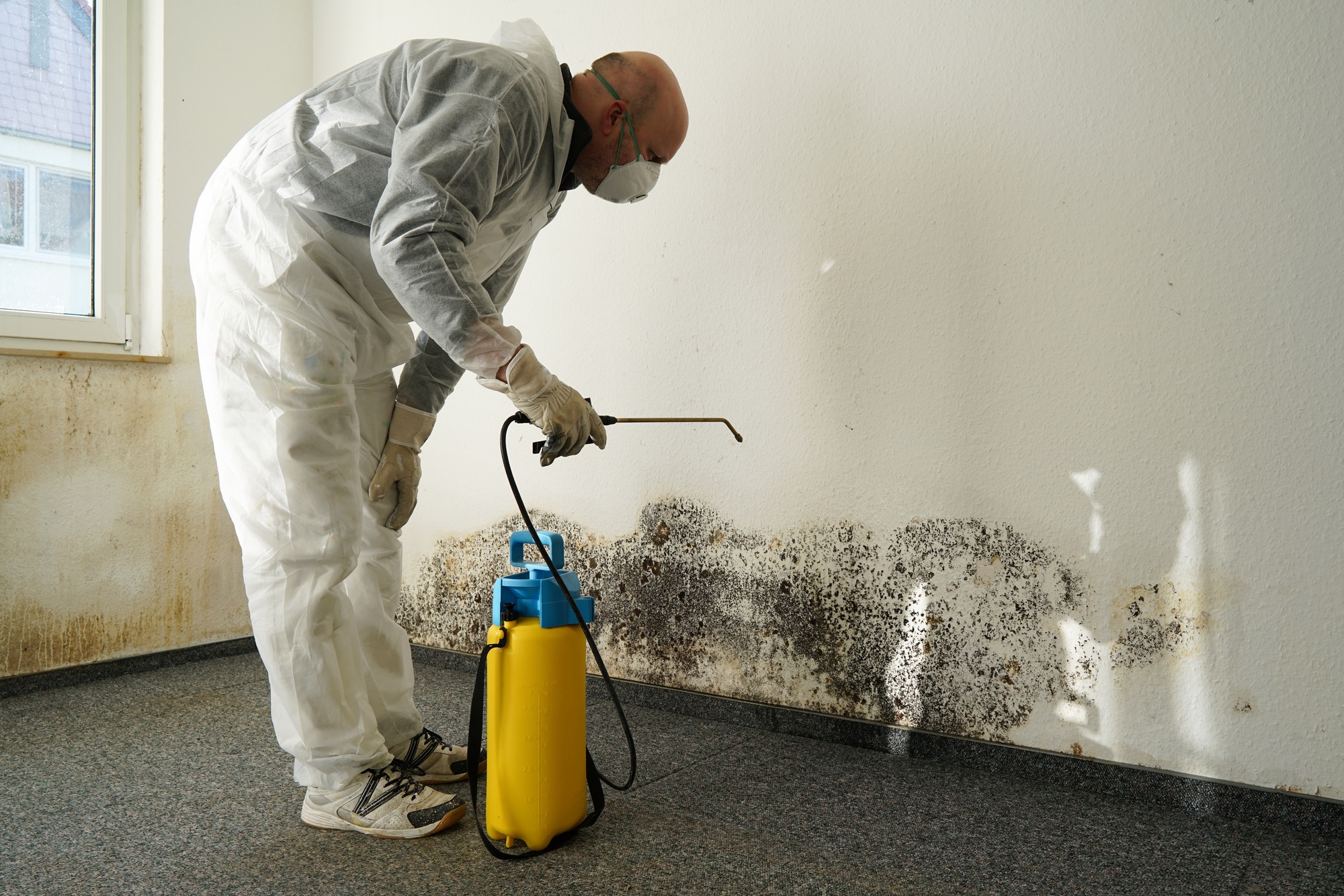 Restoring Resilience: Water Damage Restoration in Chicago, IL